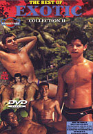 The Best of Exotic Collection #2