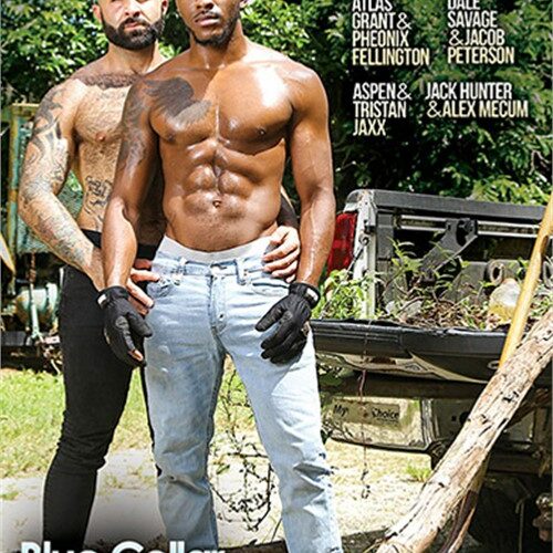 Blue Collar Stiffs #01